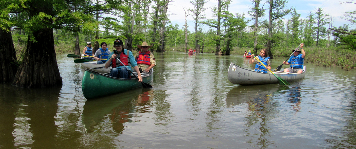 Canoeing on Cache Wetlands