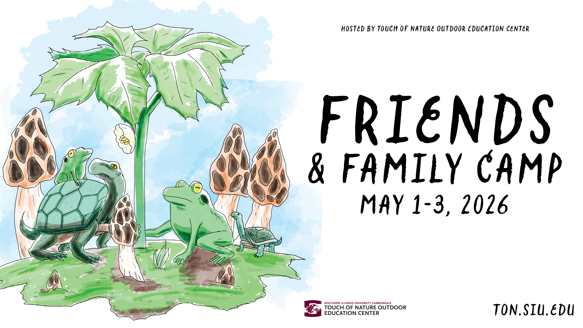 The header image displays a family of turtles and frogs underneath a green and white mayflower with brown morrels framing them on either side. 