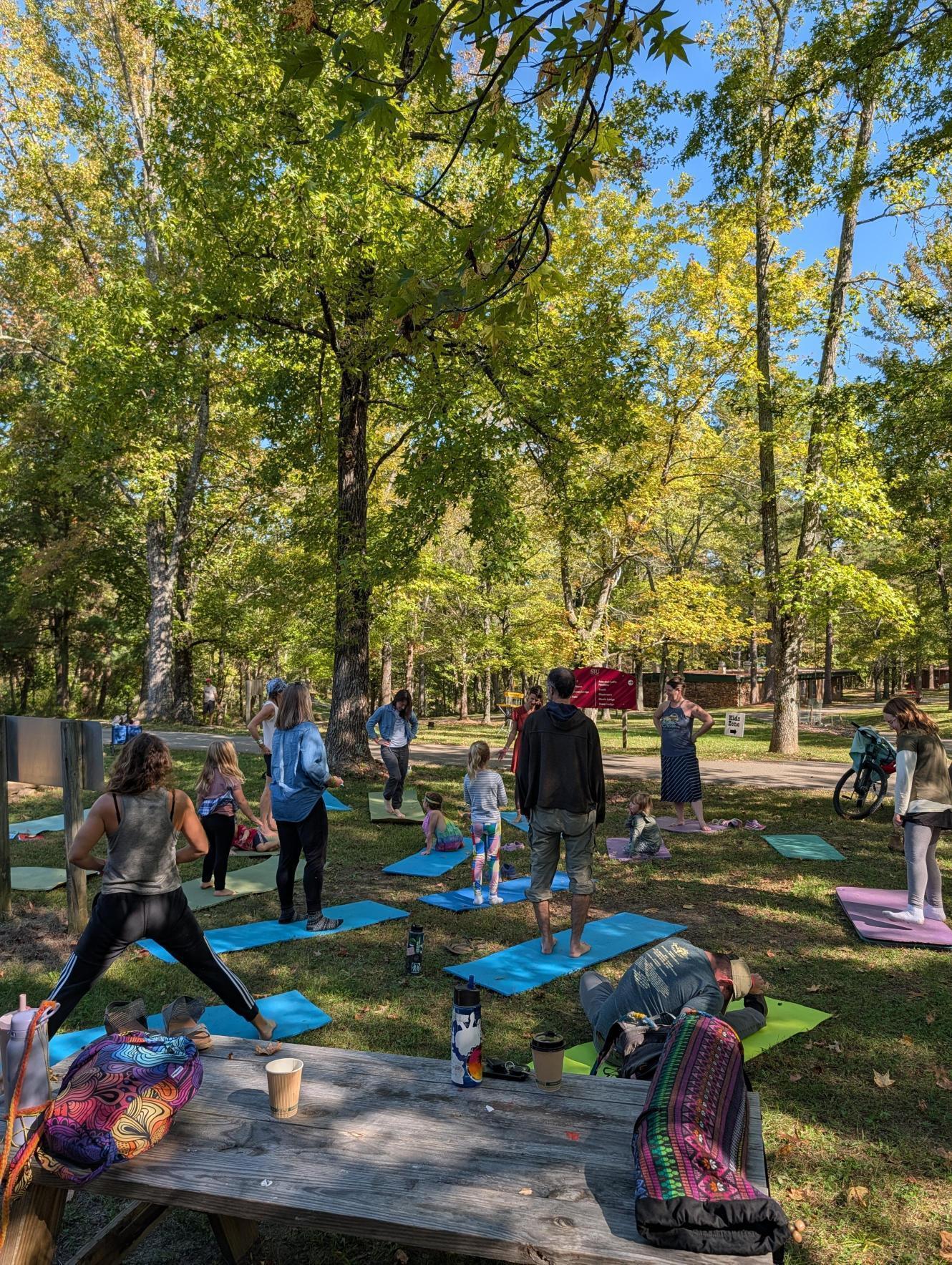 A group of families do yoga on blue mats underneath the shade of trees.