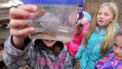SIU Touch of Nature School Group Aquatic Life