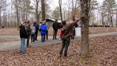 group of people observing a tree