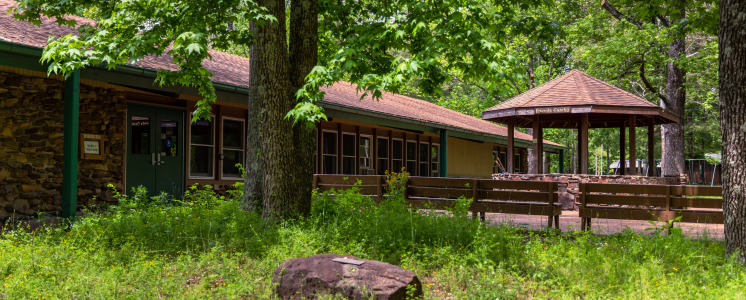 brown cabin outside