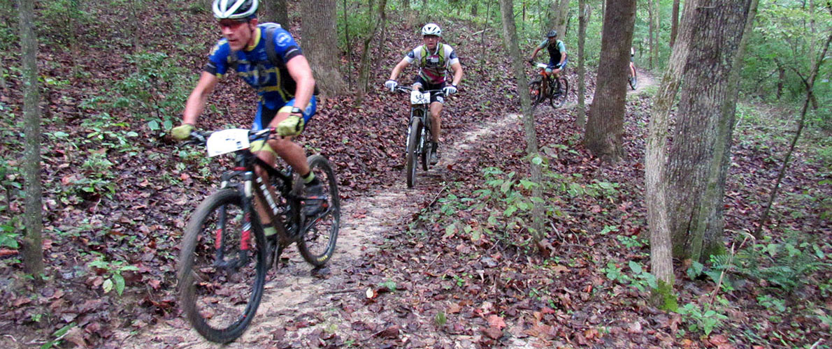 people riding on bicycles down a wooded trail